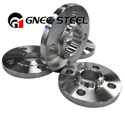 Flange forgiate in acciaio inossidabile